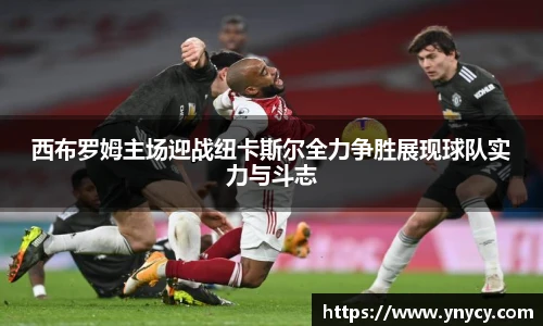 奇异果体育app下载