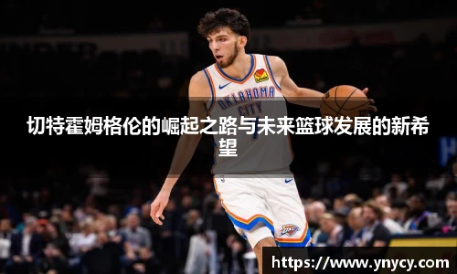 奇异果体育官方入口