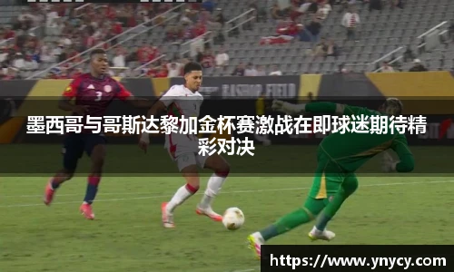 奇异果体育官方入口